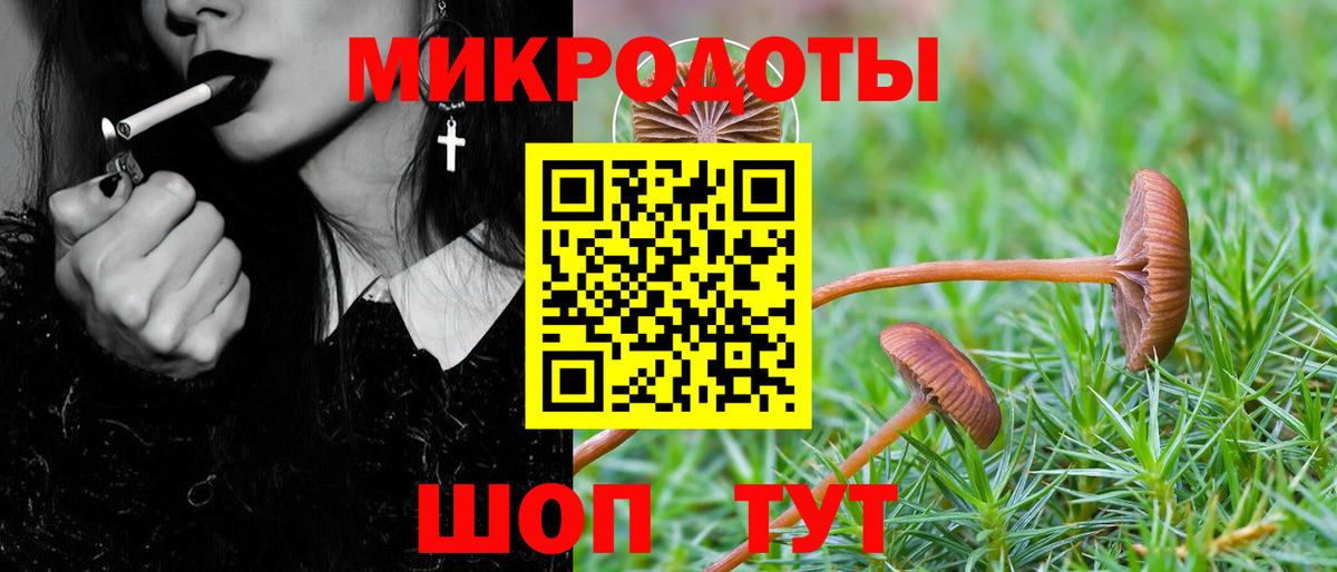 Галлюциногенные грибы Magic Shrooms Ипатово