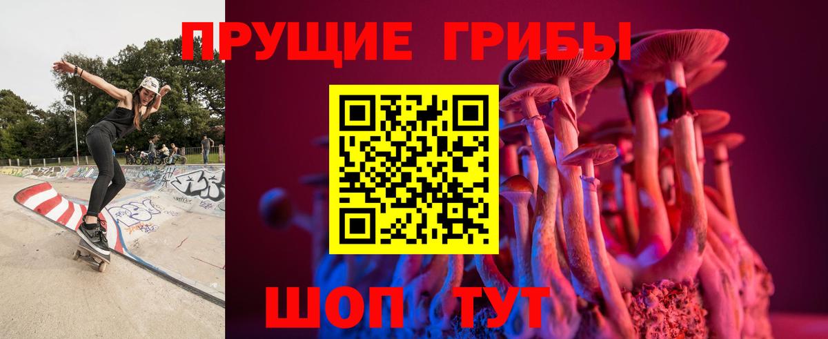 Ипатово  дарнет шоп  Вход с VPN  Галлюциногенные грибы мухоморы 
